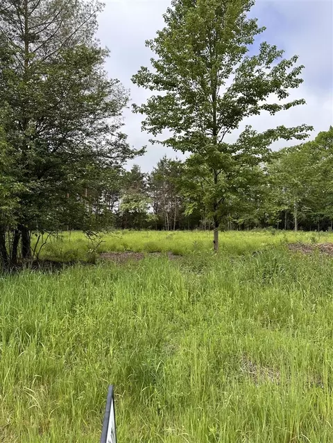 16625 Canyon, Big Rapids, MI 49307 photo 7