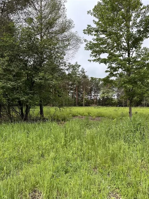 16625 Canyon, Big Rapids, MI 49307 photo 5