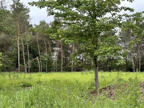16625 Canyon, Big Rapids, MI 49307 photo 3