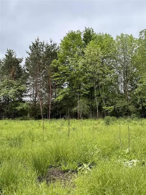 16625 Canyon, Big Rapids, MI 49307 photo 9
