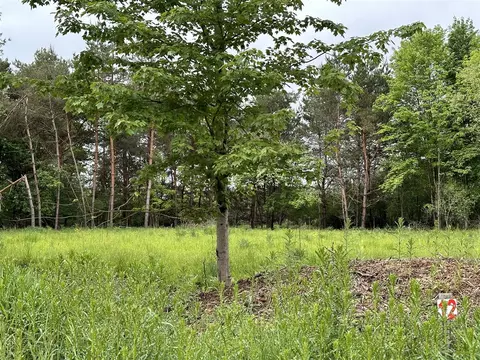 16625 Canyon, Big Rapids, MI 49307 photo 2