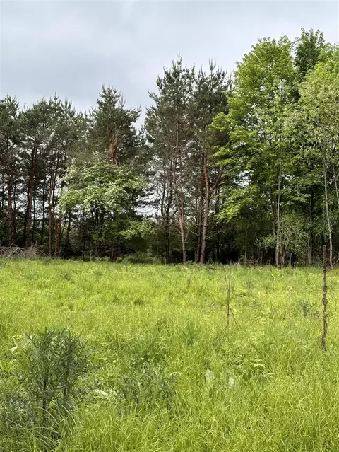 16625 Canyon, Big Rapids, MI 49307