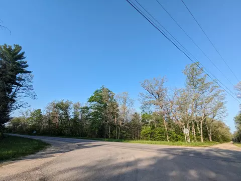 0 N Evergreen, White Cloud, MI 49349 photo 7