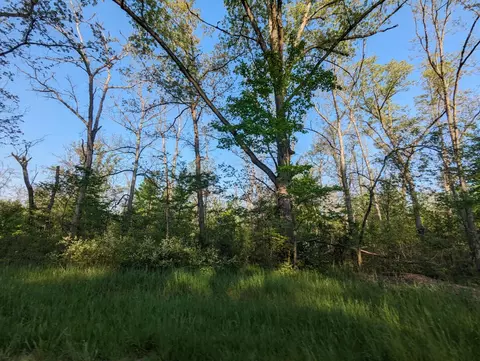 0 N Evergreen, White Cloud, MI 49349 photo 8