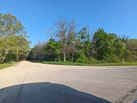 0 N Evergreen, White Cloud, MI 49349 photo 9
