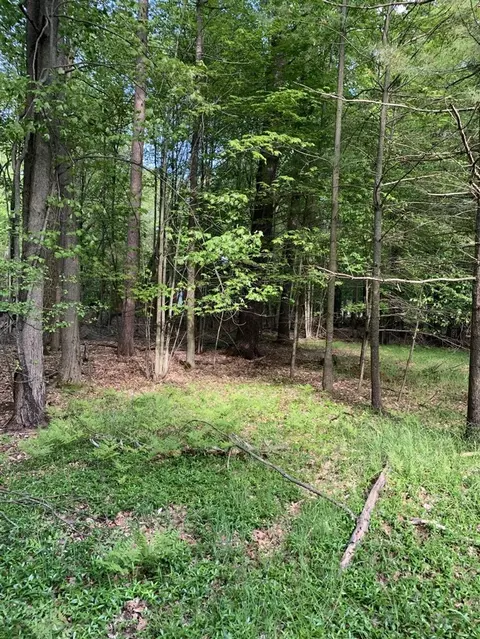 Henry/grove, Roscommon, MI 48653 photo 2