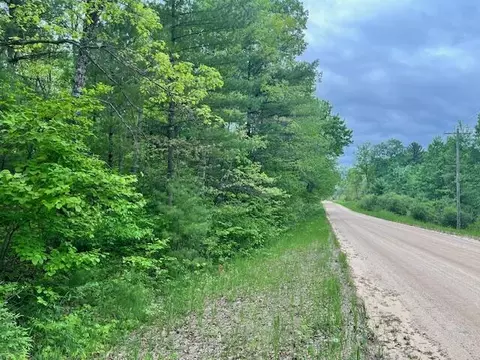 10 Acres Brewer, Brethren, MI 49619 photo 7