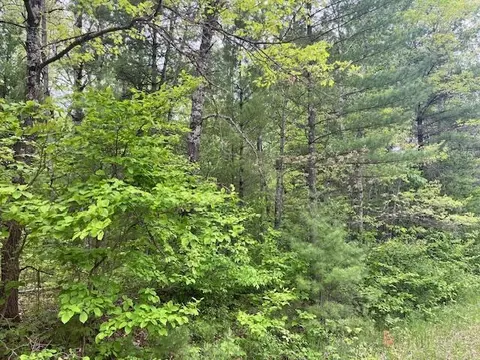 10 Acres Brewer, Brethren, MI 49619 photo 5