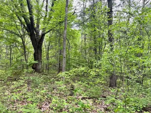 10 Acres Brewer, Brethren, MI 49619 photo 3