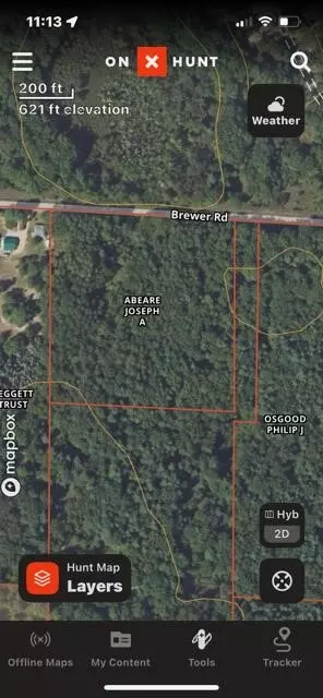 10 Acres Brewer, Brethren, MI 49619 photo 10
