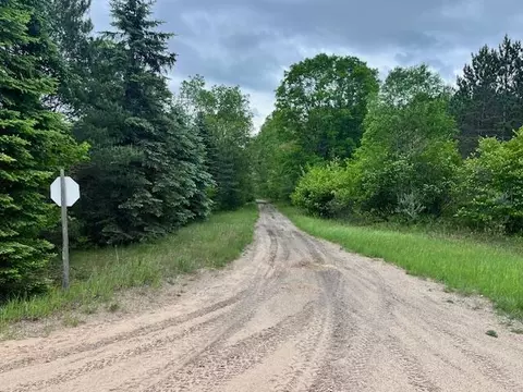 10 Acres Brewer, Brethren, MI 49619 photo 12
