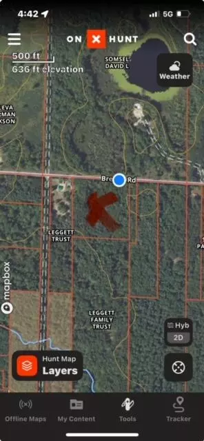 10 Acres Brewer, Brethren, MI 49619 photo 11