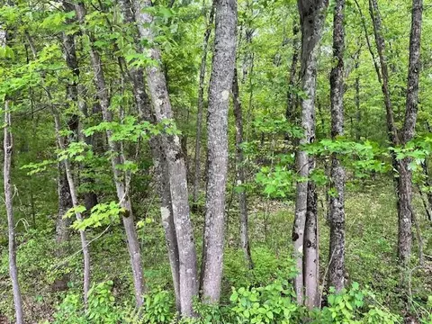 10 Acres Brewer, Brethren, MI 49619 photo 15
