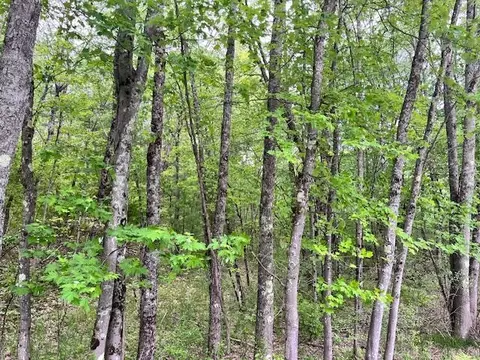 10 Acres Brewer, Brethren, MI 49619 photo 16