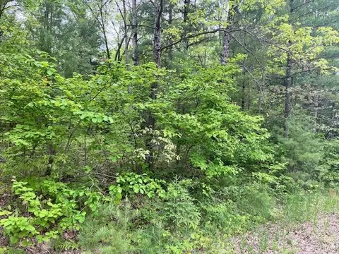 10 Acres Brewer, Brethren, MI 49619 photo 8