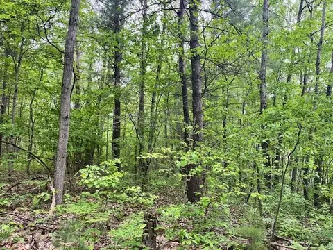 10 Acres Brewer, Brethren, MI 49619 photo 2