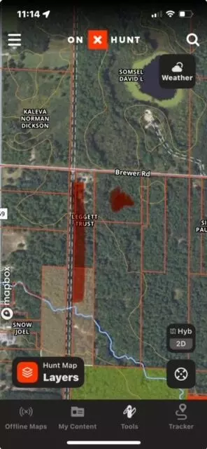 10 Acres Brewer, Brethren, MI 49619 photo 9