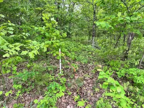 10 Acres Brewer, Brethren, MI 49619 photo 6
