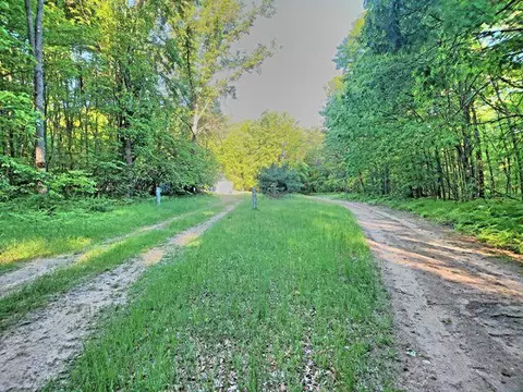 772 E Sandy Hl, Bitely, MI 49309 photo 22