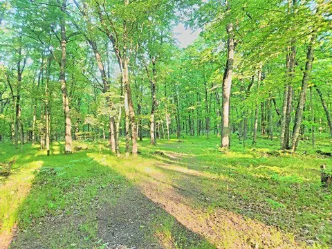 772 E Sandy Hl, Bitely, MI 49309 photo 19