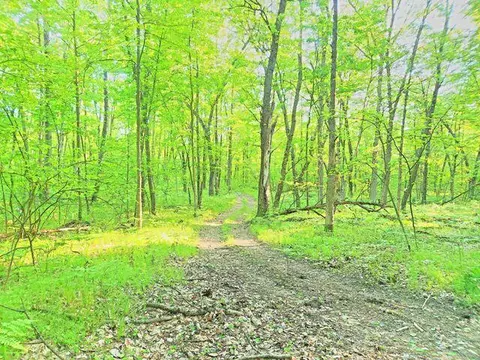 772 E Sandy Hl, Bitely, MI 49309 photo 21