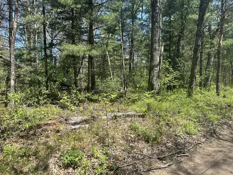 00 W Bishop, Idlewild, MI 49642