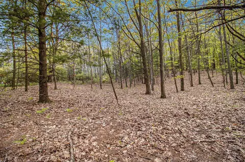Parcel A Birchmere, Mears, MI 49436 photo 5