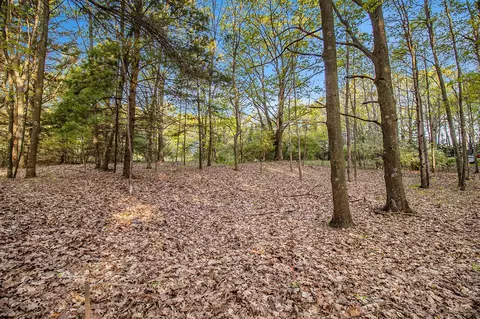 Parcel A Birchmere, Mears, MI 49436 photo 4