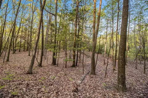 Parcel A Birchmere, Mears, MI 49436 photo 3