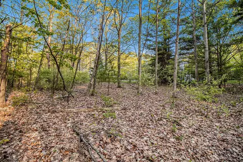 Parcel B W Harrison, Mears, MI 49436 photo 10