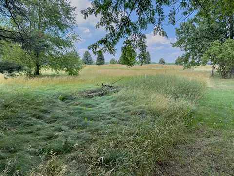 Vl Brink, Bronson, MI 49028 photo 54