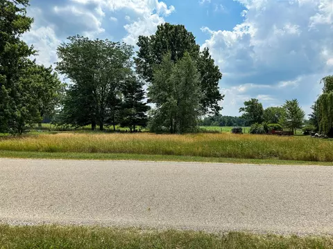 Vl Brink, Bronson, MI 49028 photo 44