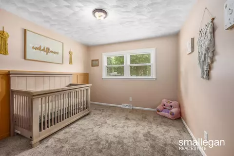 237 S Higbee, Lyons, MI 48851 photo 12