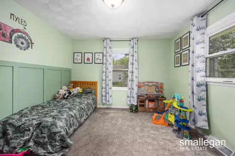 237 S Higbee, Lyons, MI 48851 photo 11