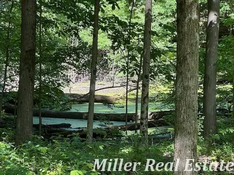 V/l Wood School, Freeport, MI 49325 photo 16