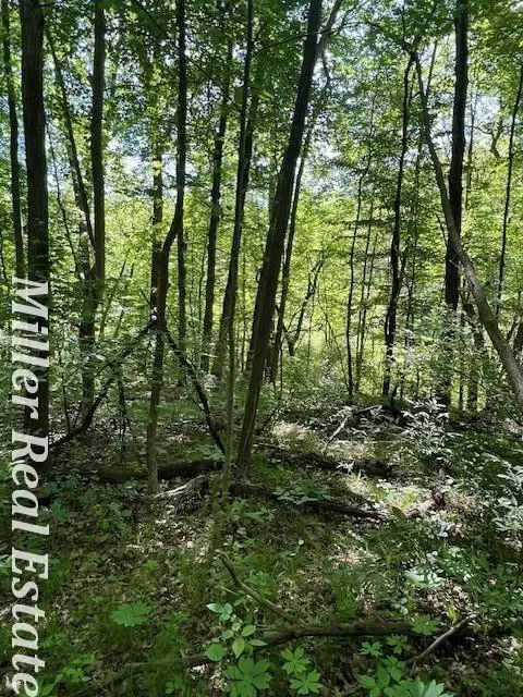 V/l Wood School, Freeport, MI 49325 photo 11