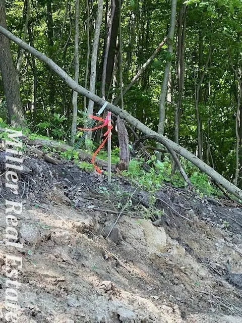 V/l Wood School, Freeport, MI 49325 photo 8