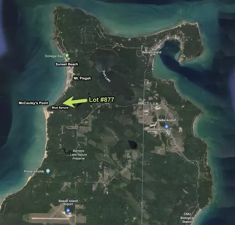 Blue Spruce, Beaver Island, MI 49782