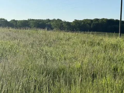 tbd Buchanan Rd #LOT C, Stanwood, MI 49346