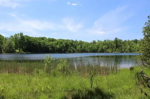 V/l Evergreen, Gowen, MI 49326