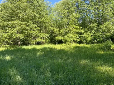 Houston, Eaton Rapids, MI 48827