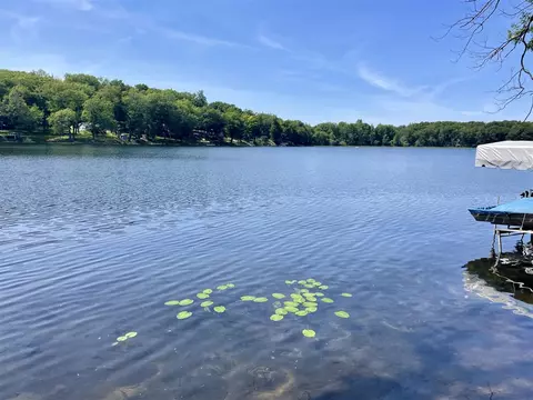 8771 Chainolakes, Delton, MI 49046