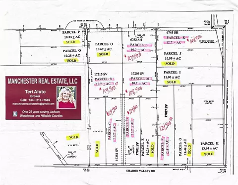 Parcel F Sharon Valley, Manchester, MI 48158