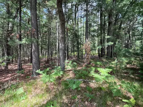 Nash, Twin Lake, MI 49457