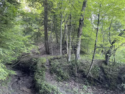 9161 S Mundy #PARCEL B, Newaygo, MI 49337