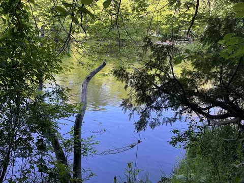 9161 S Mundy #PARCEL B, Newaygo, MI 49337 photo 4