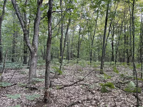 9161 S Mundy #PARCEL B, Newaygo, MI 49337 photo 6