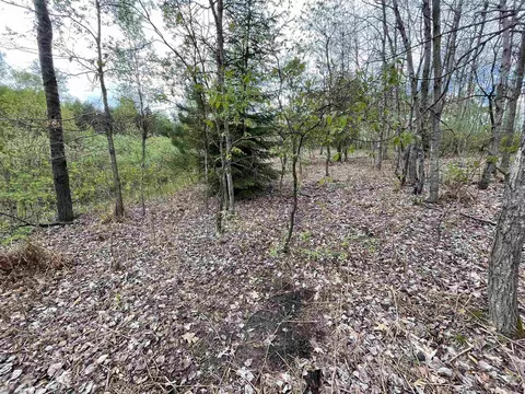 V/l 34.07 Roosevelt, Remus, MI 49340 photo 11
