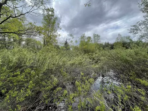 V/l 34.07 Roosevelt, Remus, MI 49340 photo 10