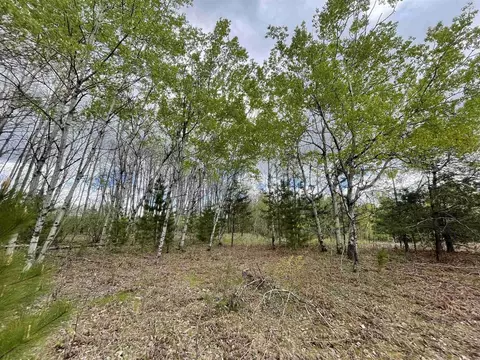 V/l 34.07 Roosevelt, Remus, MI 49340 photo 9